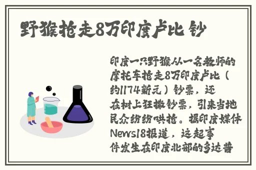 718sx张津瑜国际版